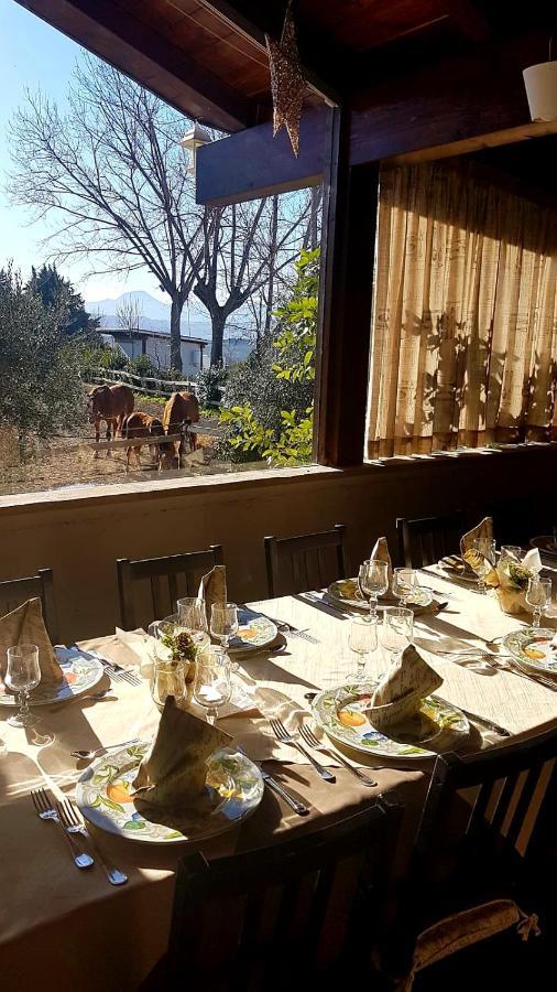 La Collina Dei Cavalieri Βίλα Belvedere Ostrense Εξωτερικό φωτογραφία