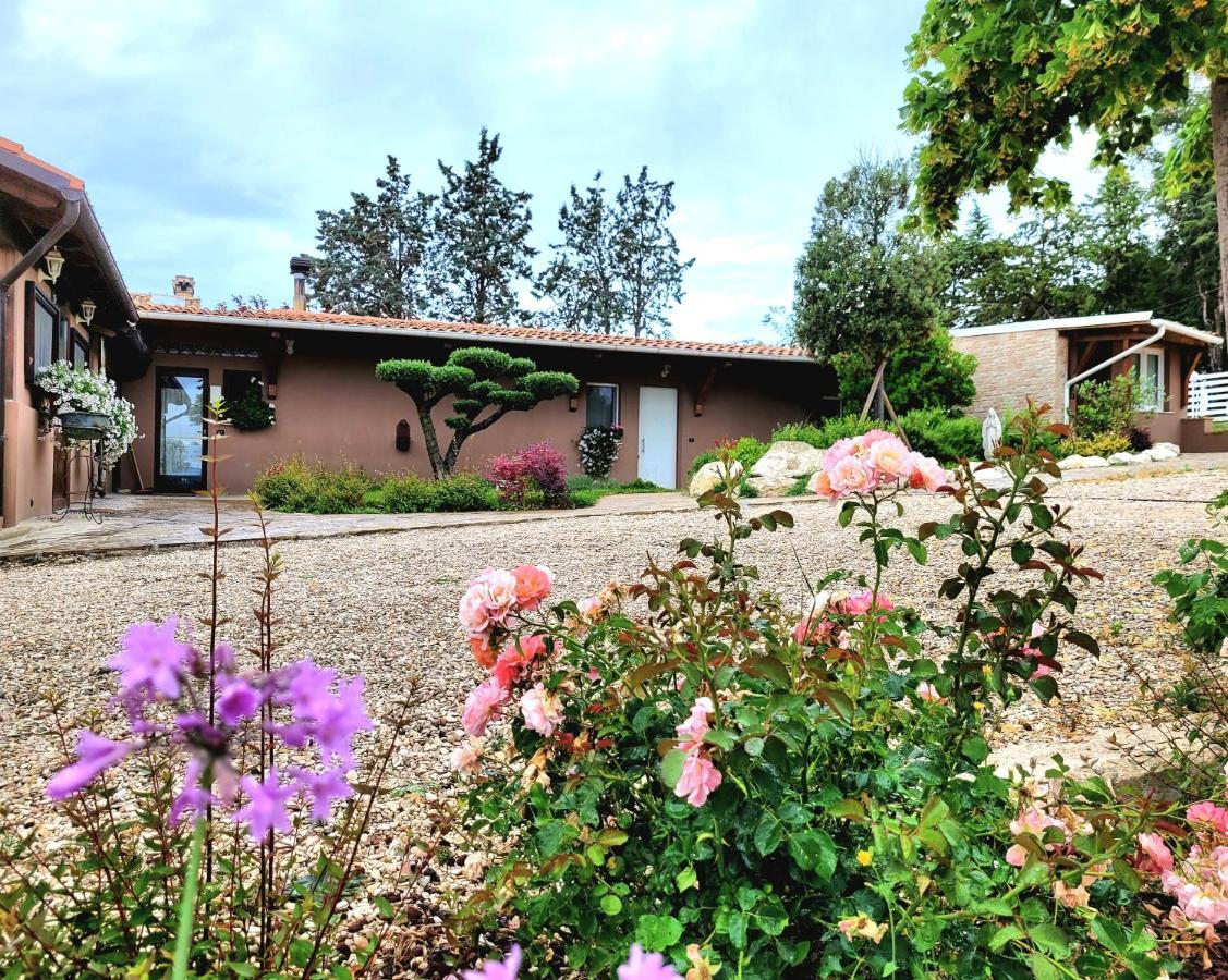 La Collina Dei Cavalieri Βίλα Belvedere Ostrense Εξωτερικό φωτογραφία