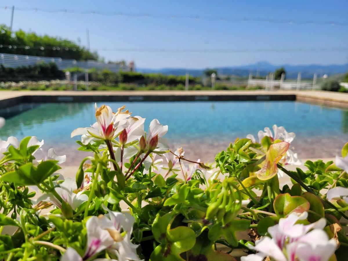 La Collina Dei Cavalieri Βίλα Belvedere Ostrense Εξωτερικό φωτογραφία