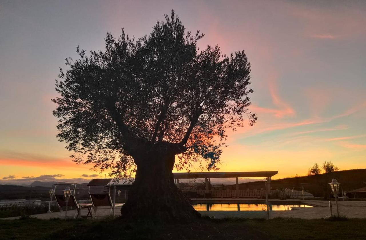 La Collina Dei Cavalieri Βίλα Belvedere Ostrense Εξωτερικό φωτογραφία